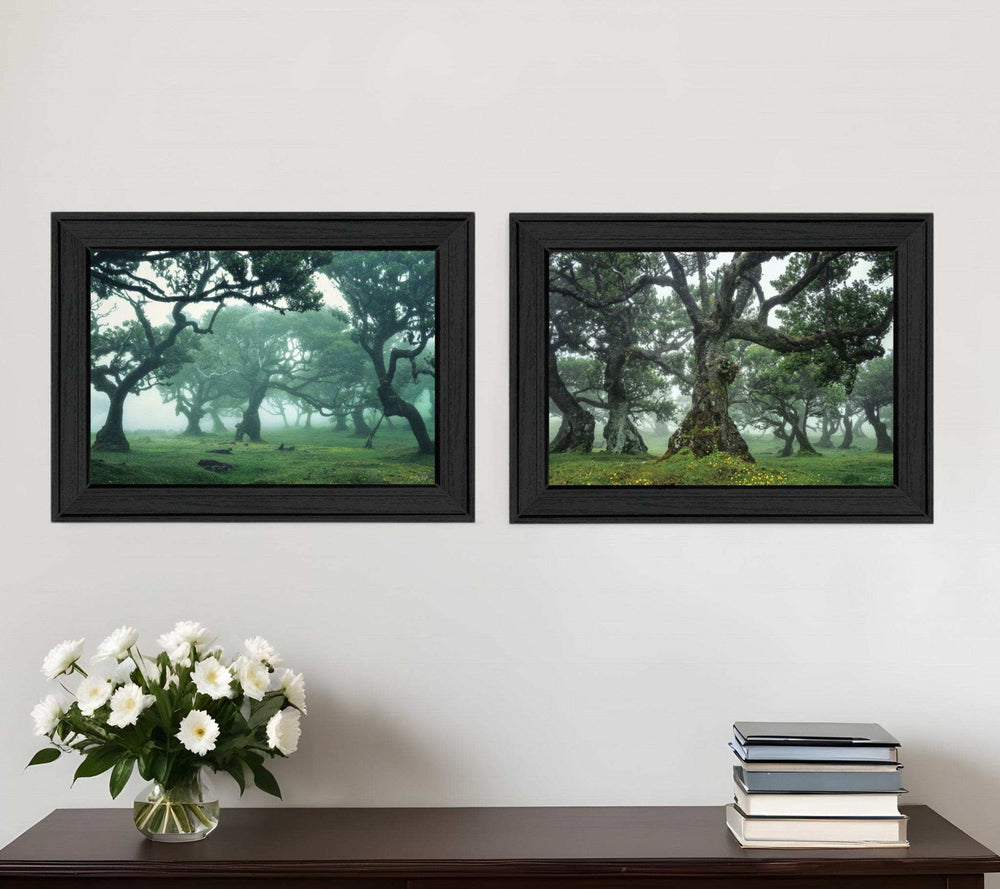 Set Of Two Enchanted Forest 2 Black Framed Print Wall Art - Homeroots - Flyclothing LLC