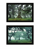 Set Of Two Enchanted Forest 4 Black Framed Print Wall Art - Homeroots - Flyclothing LLC