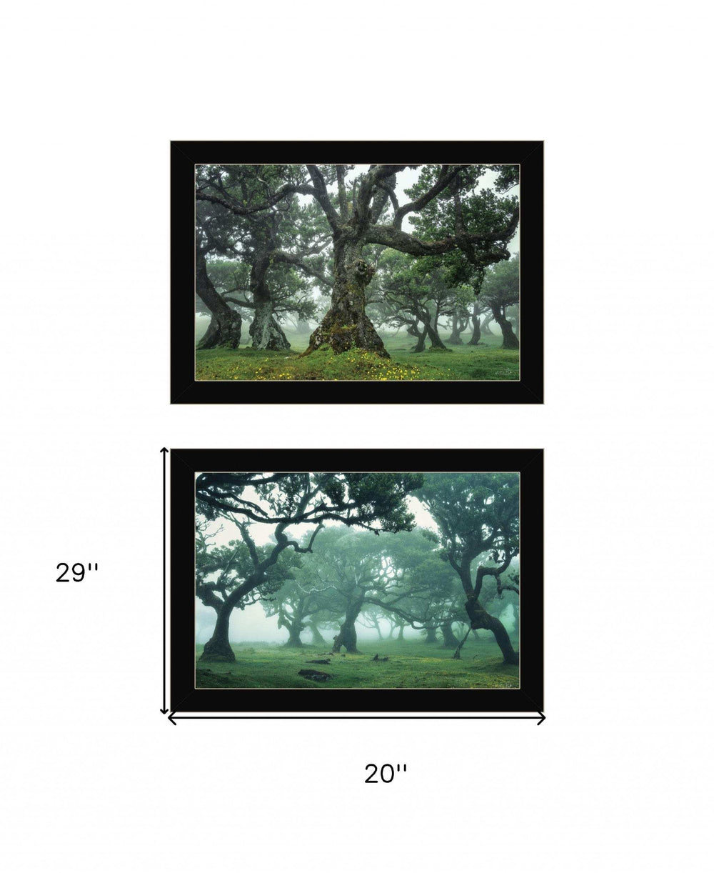 Set Of Two Enchanted Forest 4 Black Framed Print Wall Art - Homeroots - Flyclothing LLC