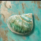 Set Of Two Azurica I and Sea II 1 Black Framed Print Wall Art - Homeroots - Flyclothing LLC