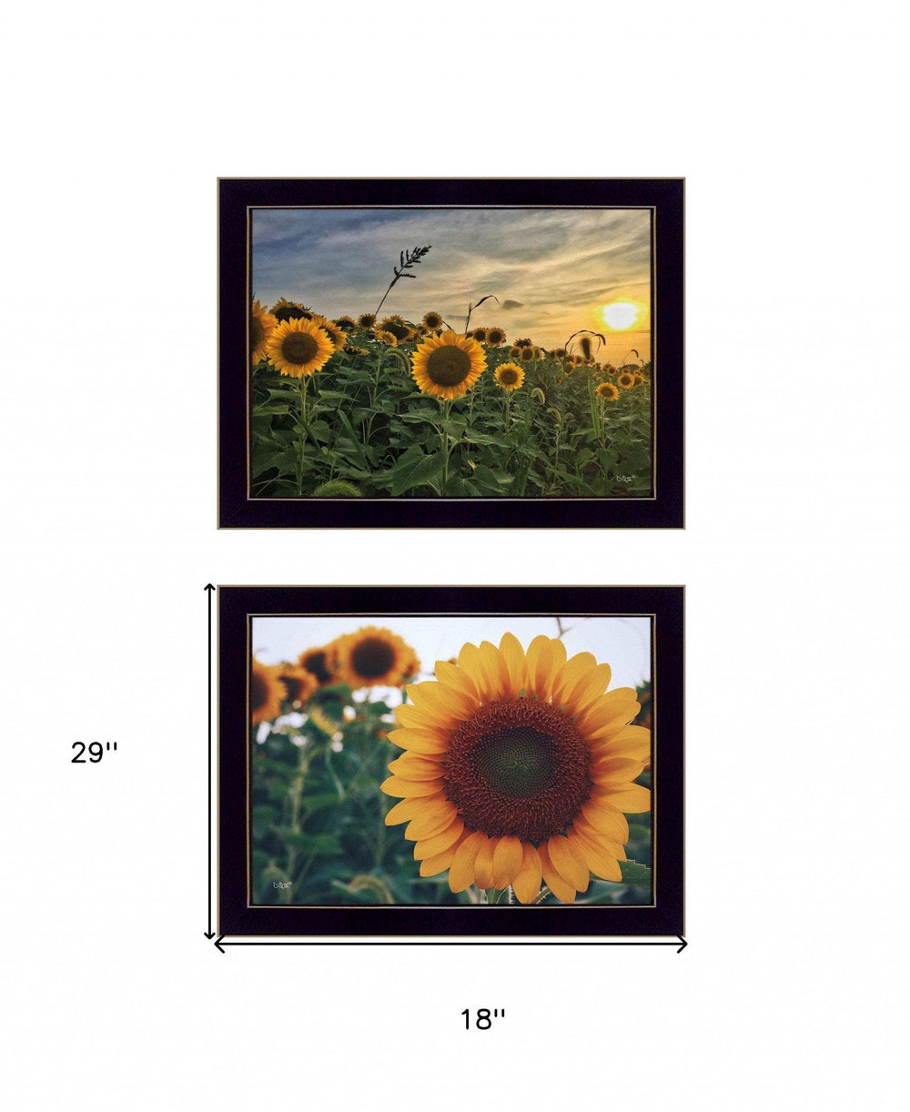 Set Of Two Midwest Living 4 Black Framed Print Wall Art - Homeroots - Flyclothing LLC