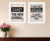 Set Of Two The New Normal White Framed Print Wall Art - Homeroots - Flyclothing LLC