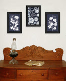 Set Of Three Its Beautiful to Be Different Black Framed Print Wall Art - Homeroots - Flyclothing LLC