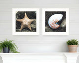 Set Of Two Ocean Net White Framed Print Wall Art - Homeroots - Flyclothing LLC
