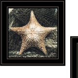 Set Of Two Ocean Net 2 Black Framed Print Wall Art - Homeroots - Flyclothing LLC