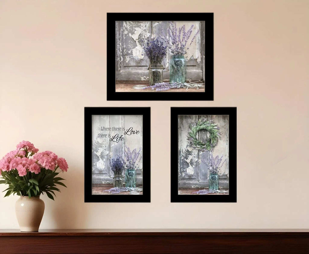 Set Of Three Abundance of Beauty Black Framed Print Wall Art - Homeroots - Flyclothing LLC