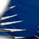 12" X 24" Blue and White Tropical Indoor Outdoor Throw Pillow - Homeroots - Flyclothing LLC