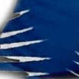 12" X 24" Blue and White Tropical Indoor Outdoor Throw Pillow - Homeroots - Flyclothing LLC