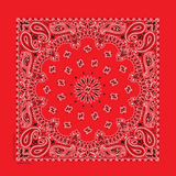 Rockmount Ranch Ware Paisley Western Cotton Bandana in Red - Rockmount Clothing - Flyclothing LLC