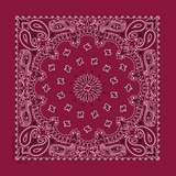 Rockmount Ranch Ware Paisley Western Cotton Bandana in Burgundy - Rockmount Clothing - Flyclothing LLC