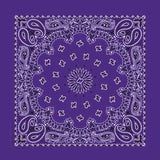 Rockmount Ranch Ware Paisley Western Cotton Bandana in Purple - Rockmount Clothing - Flyclothing LLC