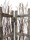 Earthy Birch and Twig Four Panel Room Divider Screen - Homeroots - Flyclothing LLC
