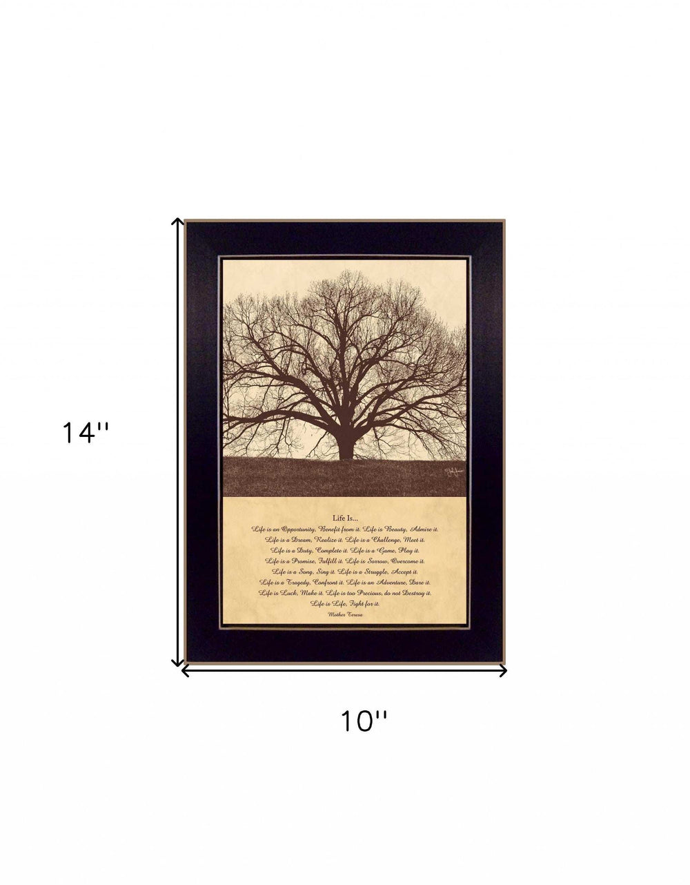 Life Is 1 Black Framed Print Wall Art - Homeroots - Flyclothing LLC