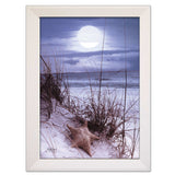 The Seashore White Framed Print Wall Art - Homeroots - Flyclothing LLC