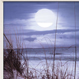 The Seashore White Framed Print Wall Art - Homeroots - Flyclothing LLC