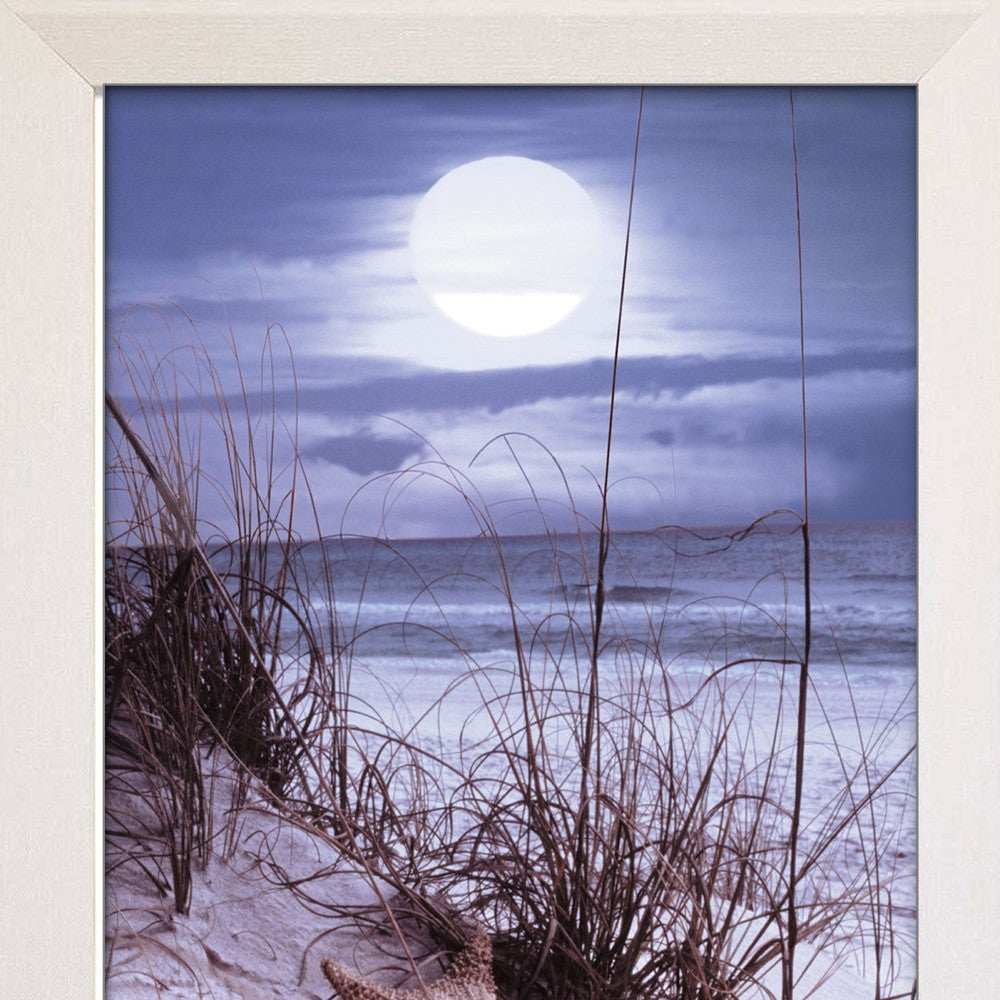 The Seashore White Framed Print Wall Art - Homeroots - Flyclothing LLC