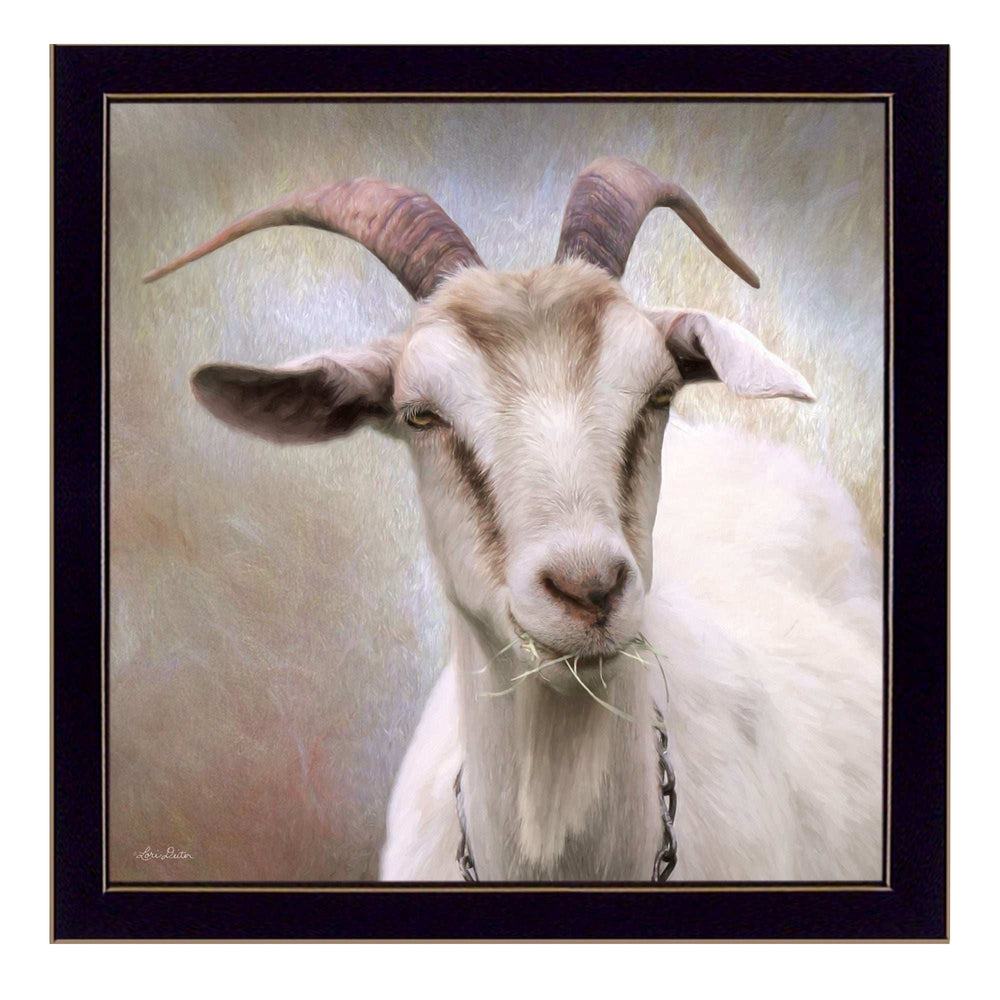 Up Close Goat Black Framed Print Wall Art - Homeroots - Flyclothing LLC