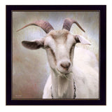 Up Close Goat Black Framed Print Wall Art - Homeroots - Flyclothing LLC