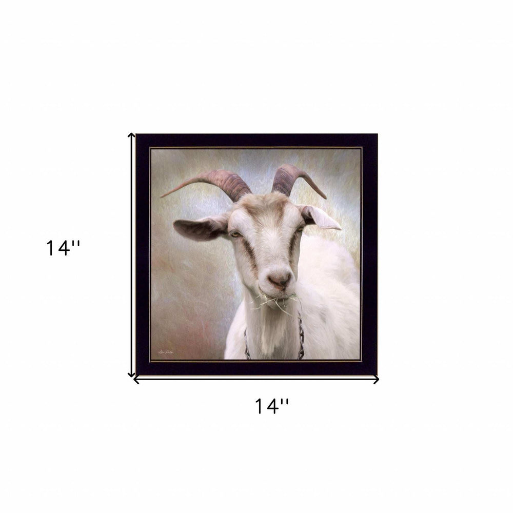 Up Close Goat Black Framed Print Wall Art - Homeroots - Flyclothing LLC