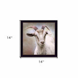 Up Close Goat Black Framed Print Wall Art - Homeroots - Flyclothing LLC