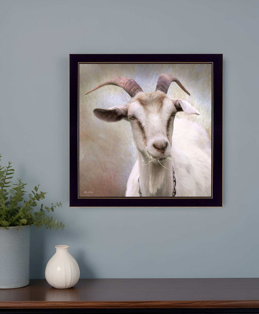 Up Close Goat Black Framed Print Wall Art - Homeroots - Flyclothing LLC