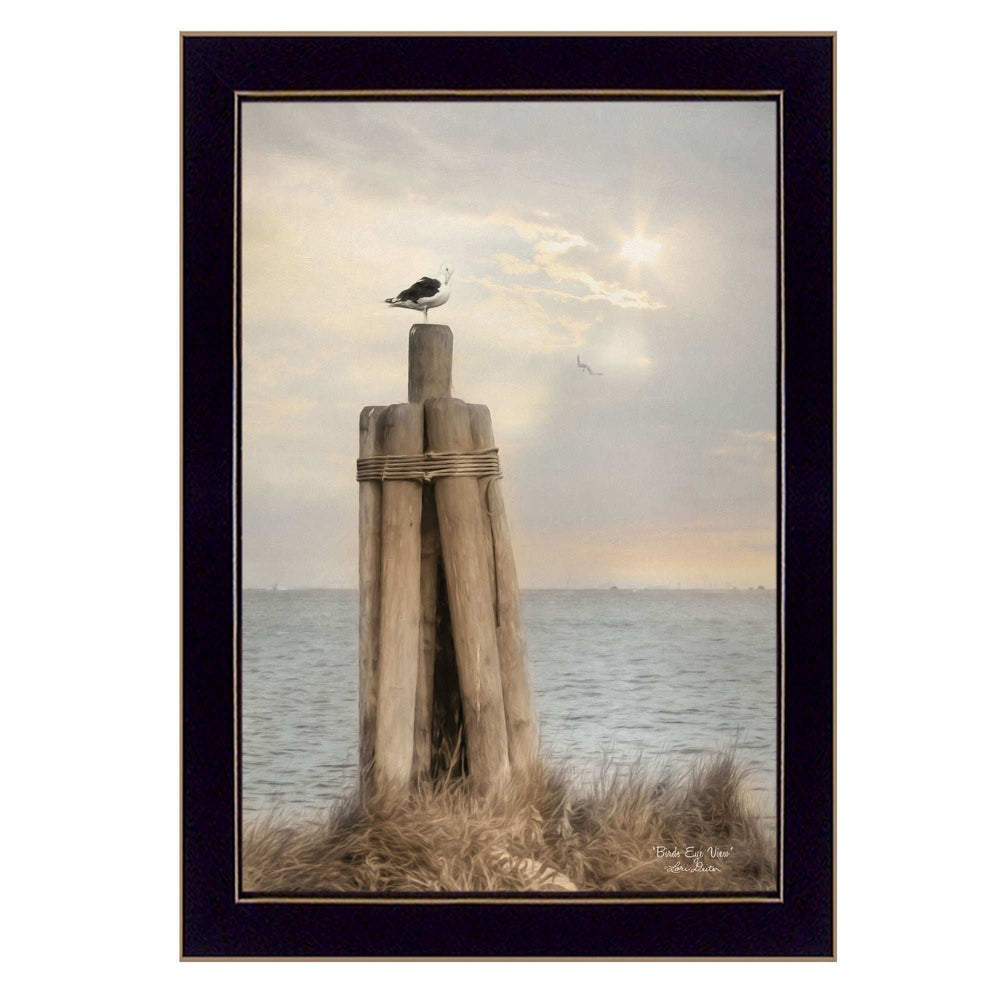 Birds Eye View 1 Black Framed Print Wall Art - Homeroots - Flyclothing LLC