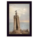 Birds Eye View 1 Black Framed Print Wall Art - Homeroots - Flyclothing LLC
