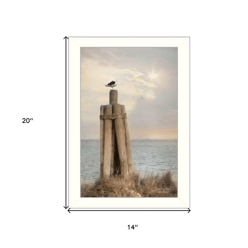 Birds Eye View 2 White Framed Print Wall Art - Homeroots - Flyclothing LLC