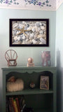Starfish and Seashell 1 Black Framed Print Wall Art - Homeroots - Flyclothing LLC