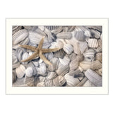 Starfish and Seashell 2 White Framed Print Wall Art - Homeroots - Flyclothing LLC
