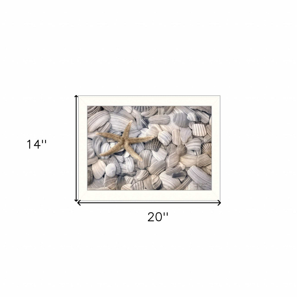 Starfish and Seashell 2 White Framed Print Wall Art - Homeroots - Flyclothing LLC