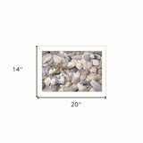 Starfish and Seashell 2 White Framed Print Wall Art - Homeroots - Flyclothing LLC