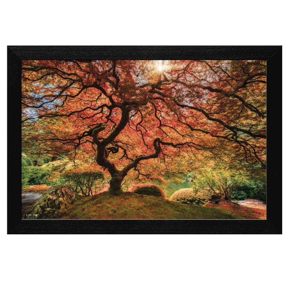 First Colors of Fall Black Framed Print Wall Art - Homeroots - Flyclothing LLC