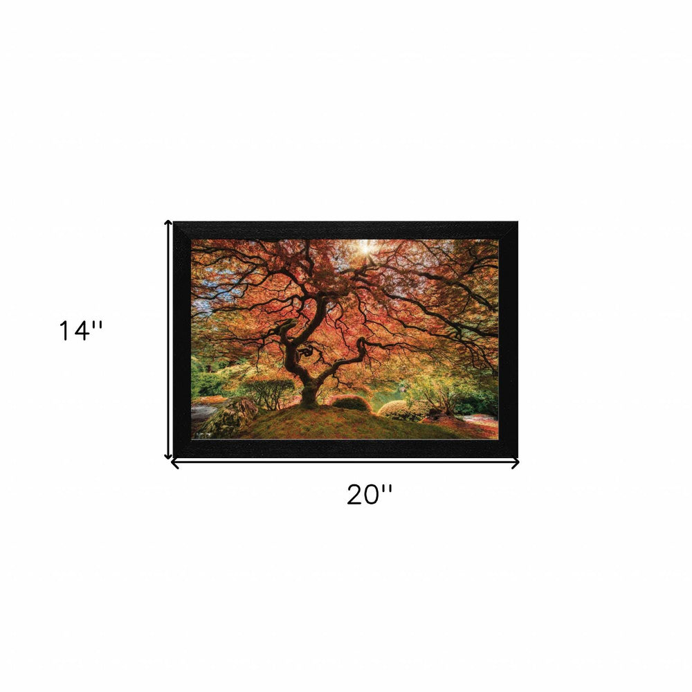 First Colors of Fall Black Framed Print Wall Art - Homeroots - Flyclothing LLC