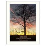 Passion 2 White Framed Print Wall Art - Homeroots - Flyclothing LLC