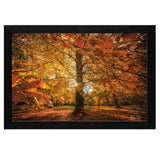 Autumn Leaves 4 Black Framed Print Wall Art - Homeroots - Flyclothing LLC