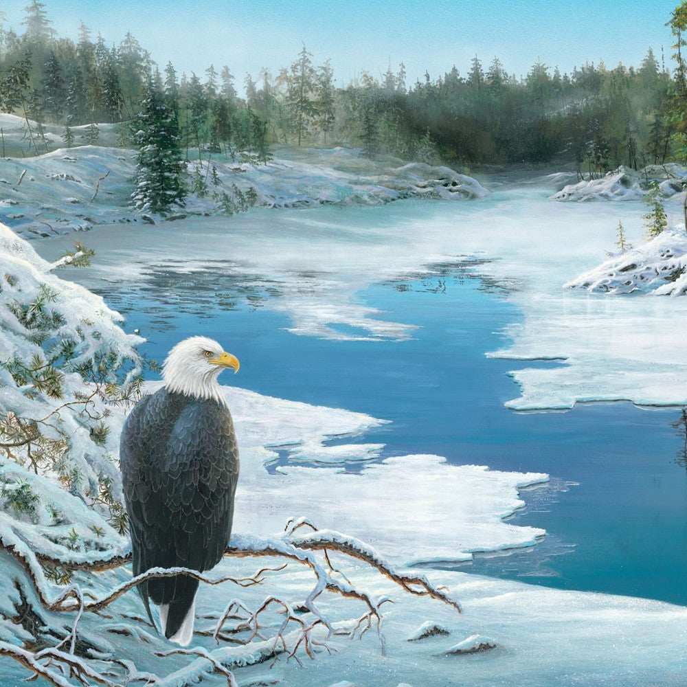 The Lookout 1 Black Framed Print Wall Art - Homeroots - Flyclothing LLC