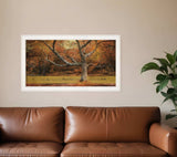 Reach Out 1 White Framed Print Wall Art - Homeroots - Flyclothing LLC