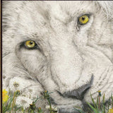 Dandy Lion 1 Black Framed Print Wall Art - Homeroots - Flyclothing LLC
