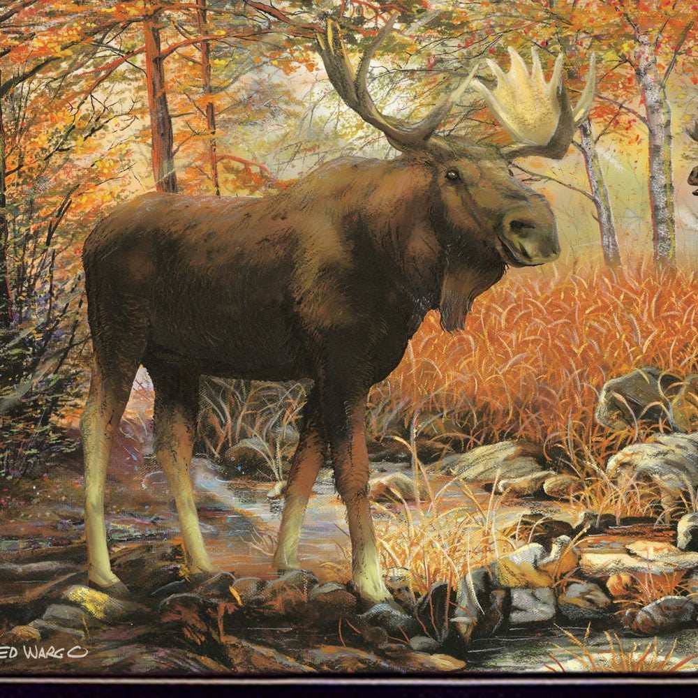 Call of the Wild 1 Black Framed Print Wall Art - Homeroots - Flyclothing LLC