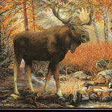 Call of the Wild 1 Black Framed Print Wall Art - Homeroots - Flyclothing LLC