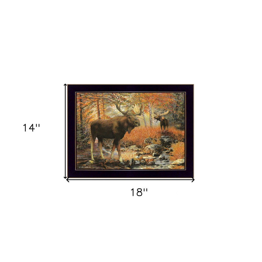 Call of the Wild 1 Black Framed Print Wall Art - Homeroots - Flyclothing LLC