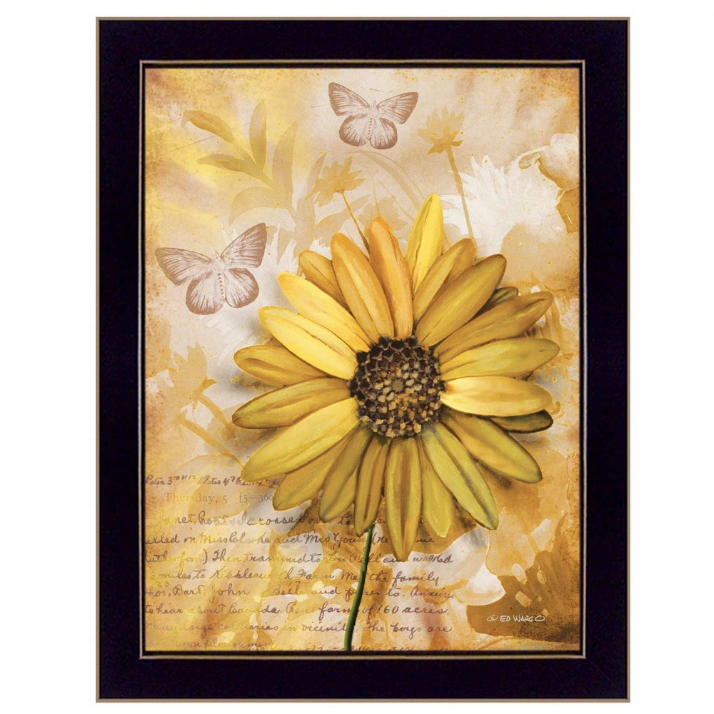 Flowers and Butterflies II 1 Black Framed Print Wall Art - Homeroots - Flyclothing LLC