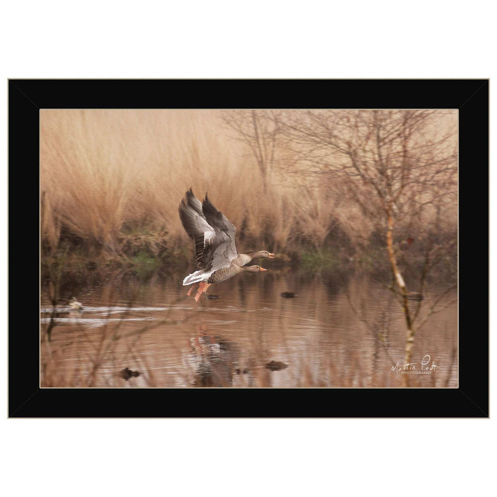 Fly Away 3 Black Framed Print Wall Art - Homeroots - Flyclothing LLC