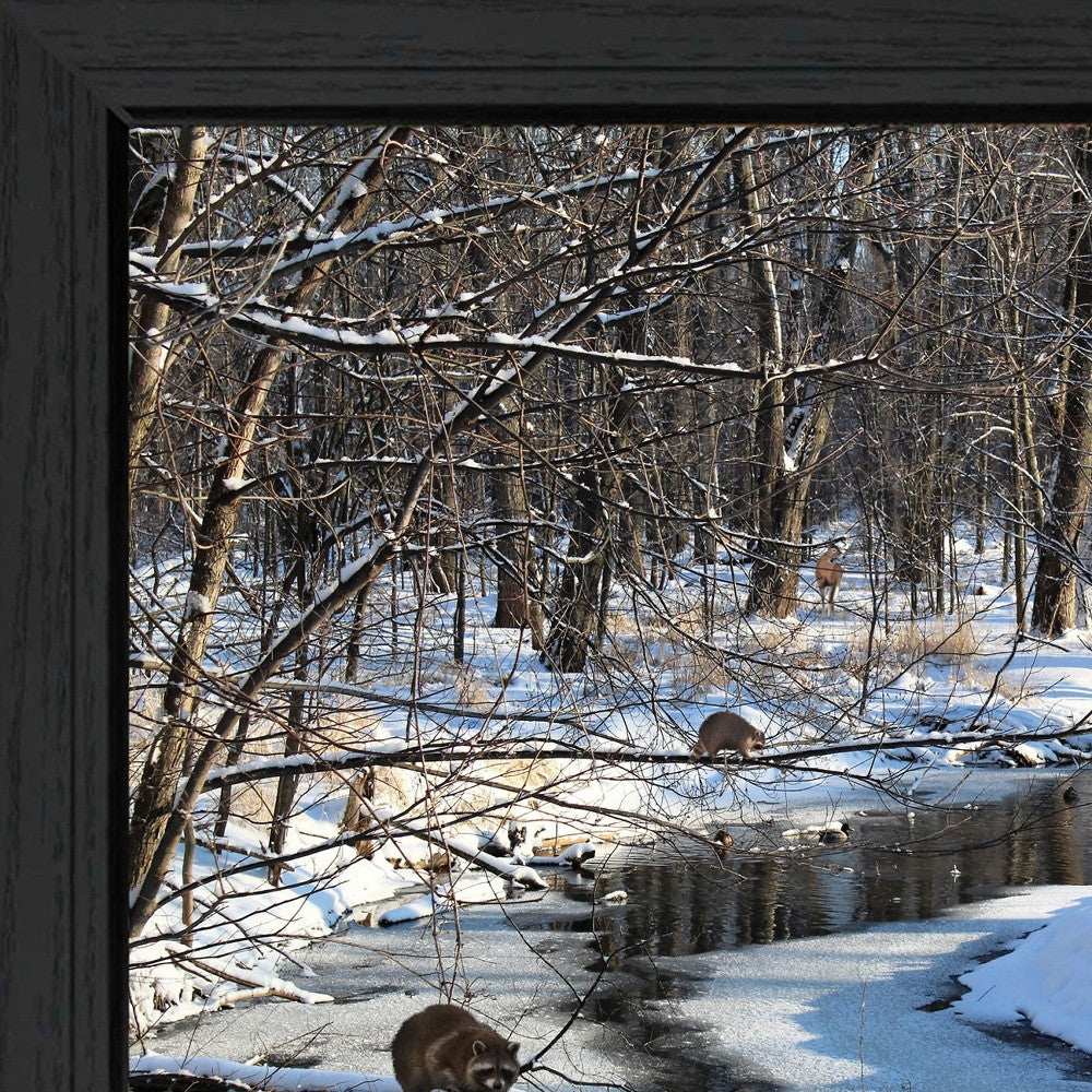 Great Outdoors Nature 1 Black Framed Print Wall Art - Homeroots - Flyclothing LLC