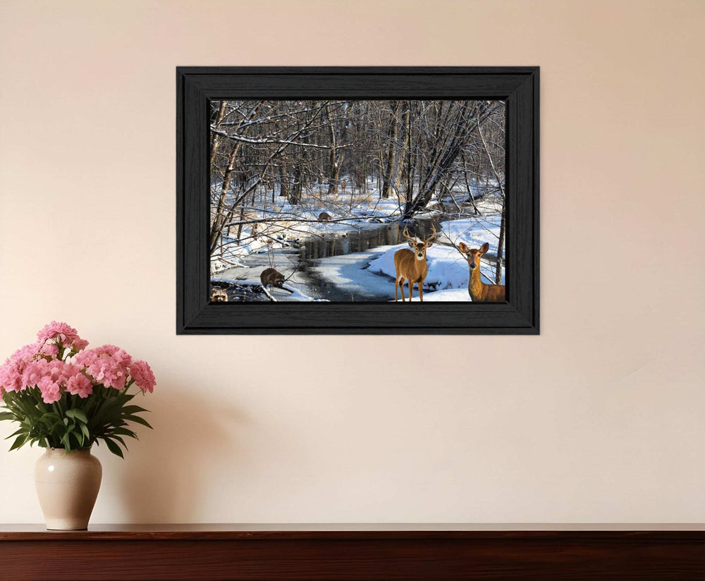 Great Outdoors Nature 1 Black Framed Print Wall Art - Homeroots - Flyclothing LLC