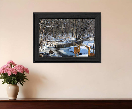 Great Outdoors Nature 1 Black Framed Print Wall Art - Homeroots - Flyclothing LLC