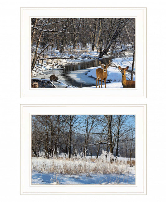 Set Of Two Great Outdoors Nature or Winter Forest 2 White Framed Print Wall Art - Homeroots - Flyclothing LLC