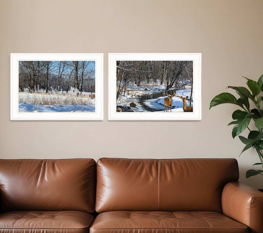 Set Of Two Great Outdoors Nature or Winter Forest 2 White Framed Print Wall Art - Homeroots - Flyclothing LLC