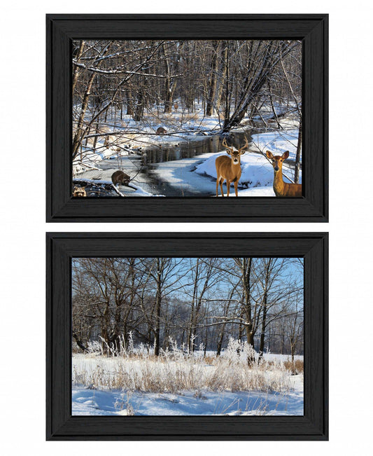 Set Of Two Great Outdoors Nature or Winter Forest 3 Black Framed Print Wall Art - Homeroots - Flyclothing LLC